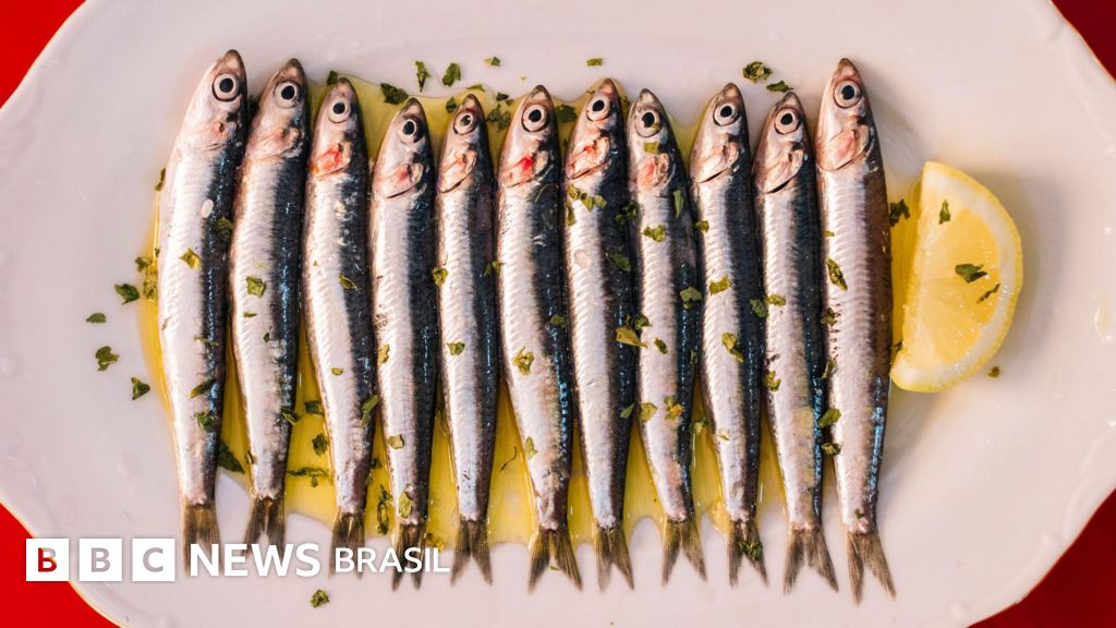3 motivos por que as sardinhas são um alimento barato e ideal para sua saúde