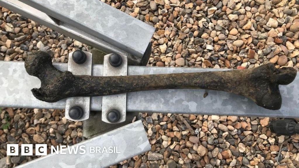 O osso humano da Idade da Pedra encontrado por acaso em rio de Londres