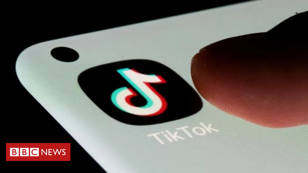 TikTok: 5 polêmicas que marcaram a rede social em 2023