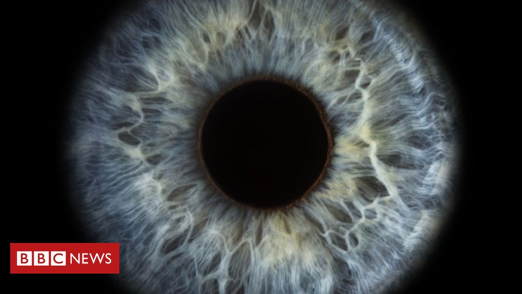 Retina Desgastada: Pesadelo Brasileiro