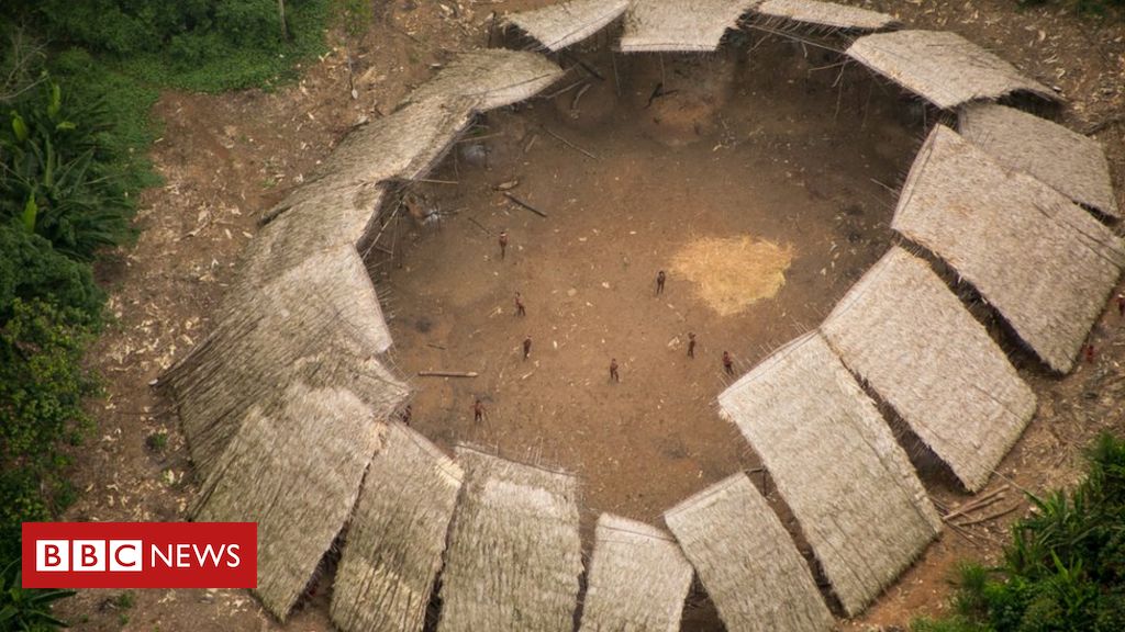 Antropólogo da Unesp analisa histórico de invasões de garimpeiros