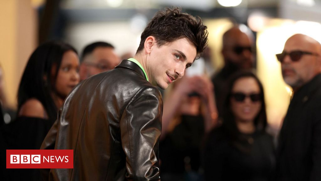 Timothée Chalamet pode surpreender no Oscar com interpretação de Bob Dylan?