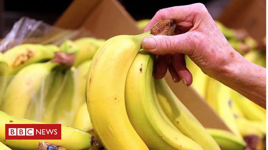 'Preço de banana'? Clima mais quente deve deixar fruta mais cara