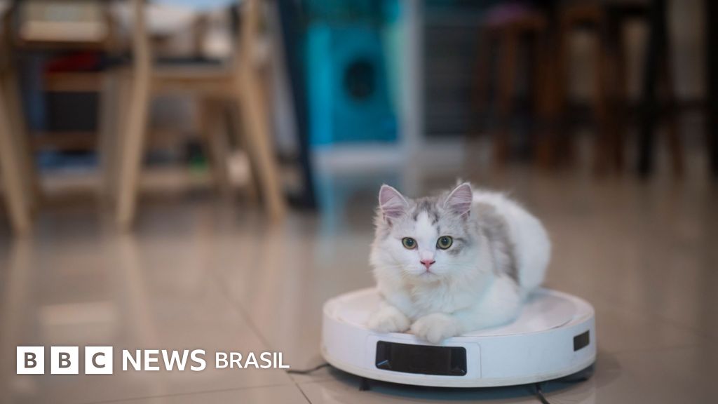 Seu eletrodoméstico 'inteligente' pode te espionar? Veja como se proteger