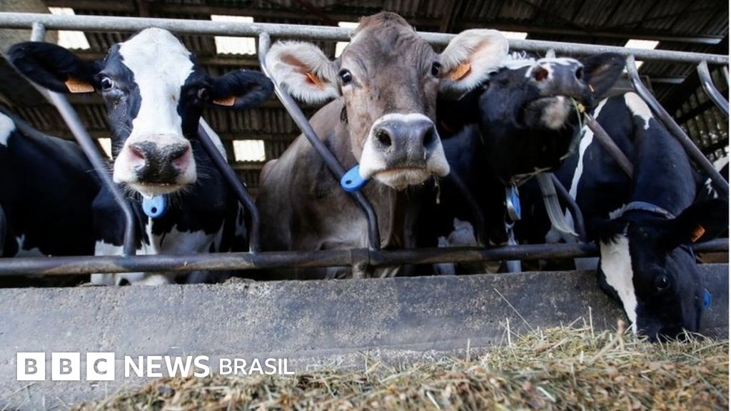 Como a carne virou ‘vilã’ em mudança climática e entrou na mira da COP26