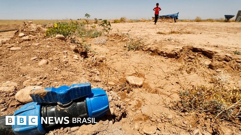 Mudanças climáticas: bebês de hoje enfrentarão 7 vezes mais ondas de calor no mundo que seus avós