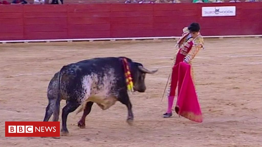 Três morrem em 24 horas após tradicional corrida de touros na Espanha, Mundo