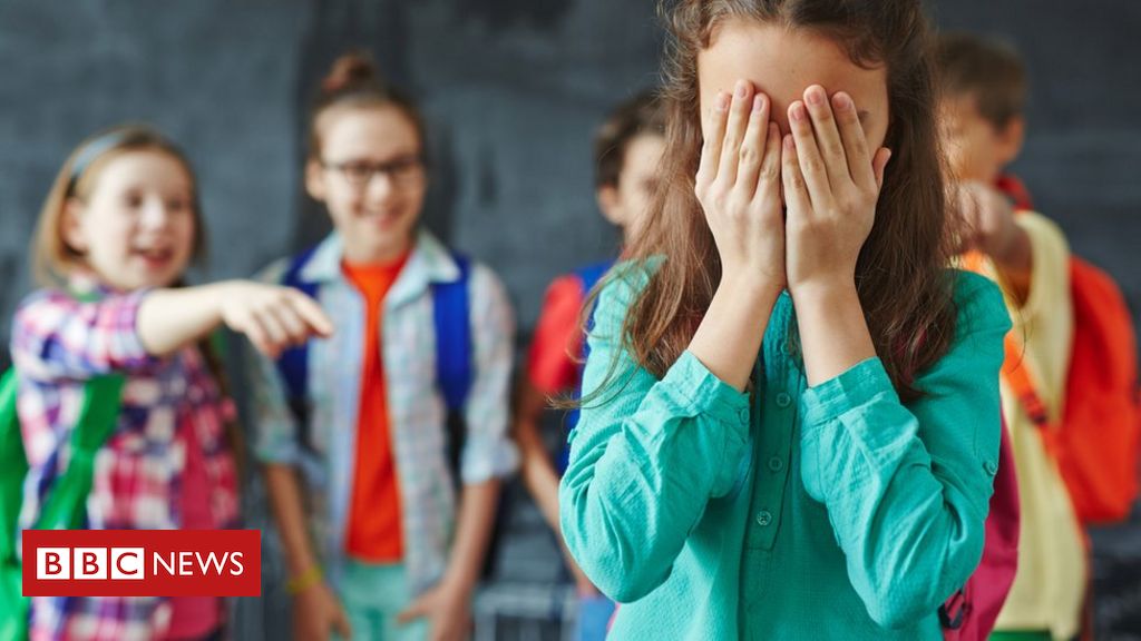 Bullying, subtipo de violência escolar - PortalBullying