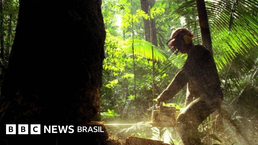 COP26: Brasil promete reduzir emissões pela metade até 2030 e zerar desmatamento 2 anos antes