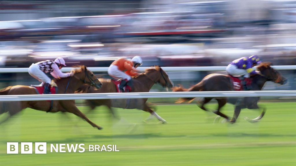 Corrida de cavalos e hipismo são crueldade com animais?