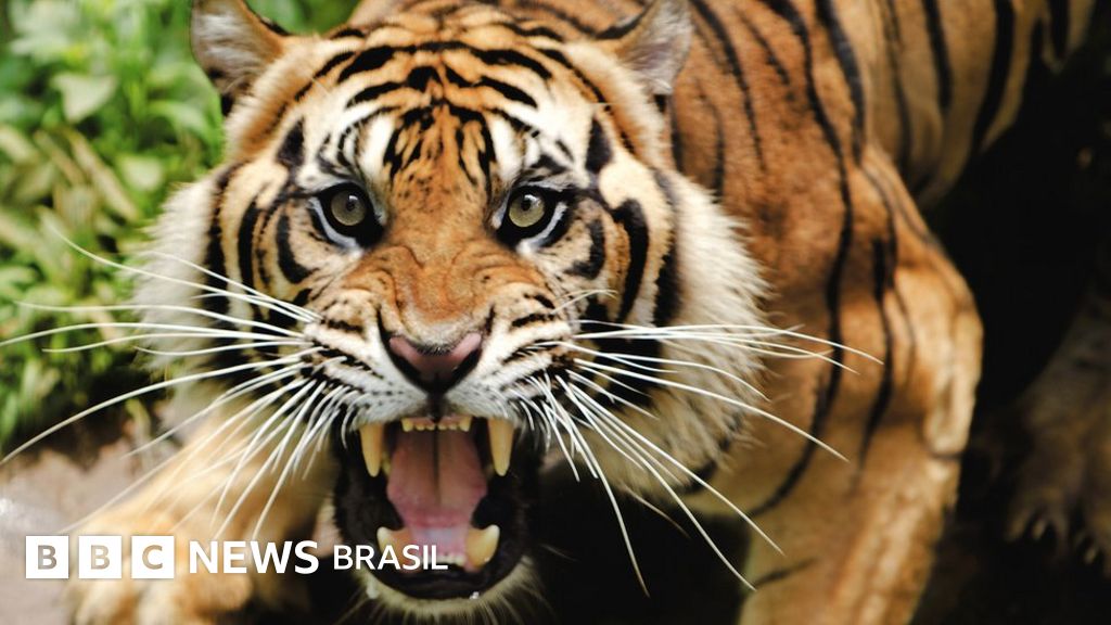 Como DNA capturado na atmosfera pode revolucionar Biologia