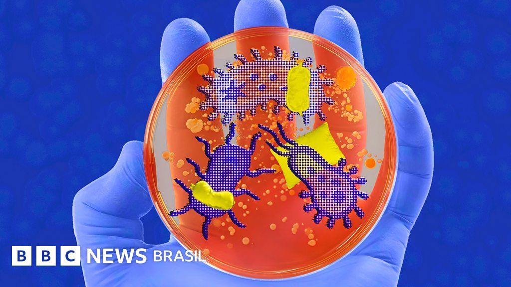Como micróbios controlam o seu sono