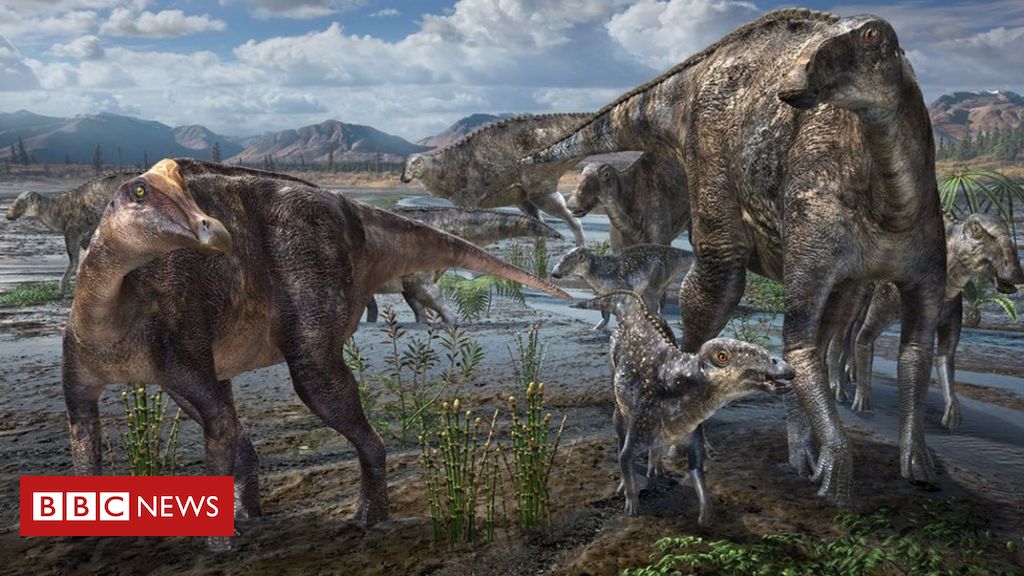 7 Dinossauros Mais Gigantes Que Existiam Na Terra 