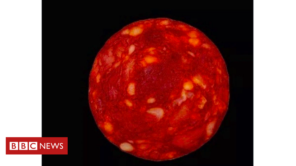 Un scientifique renommé s’excuse d’avoir publié une photo de salami et dit qu’il était une star