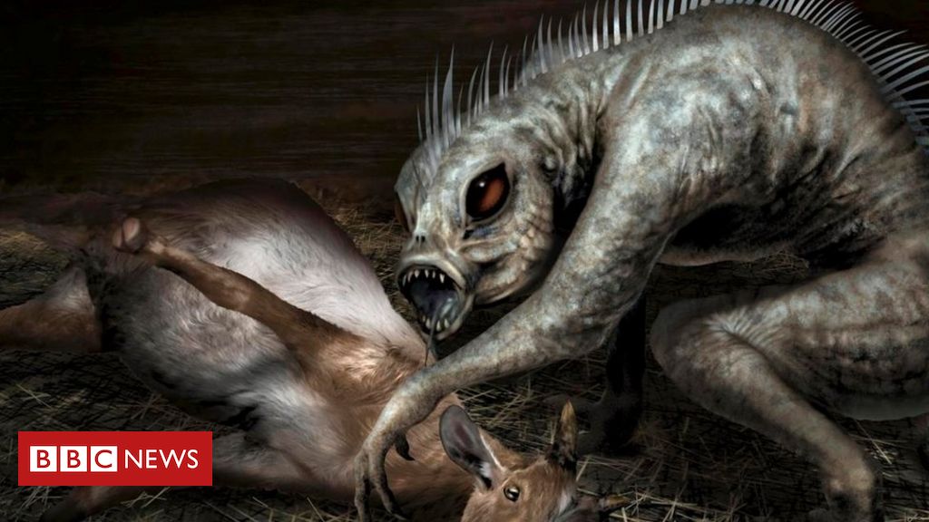 A verdade científica por trás da lenda do chupa-cabra - BBC News