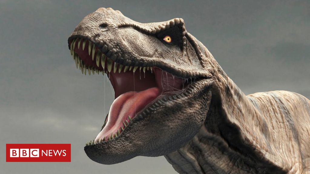 Novo estudo questiona existência dos Tiranossauro Rex tal como conhecemos