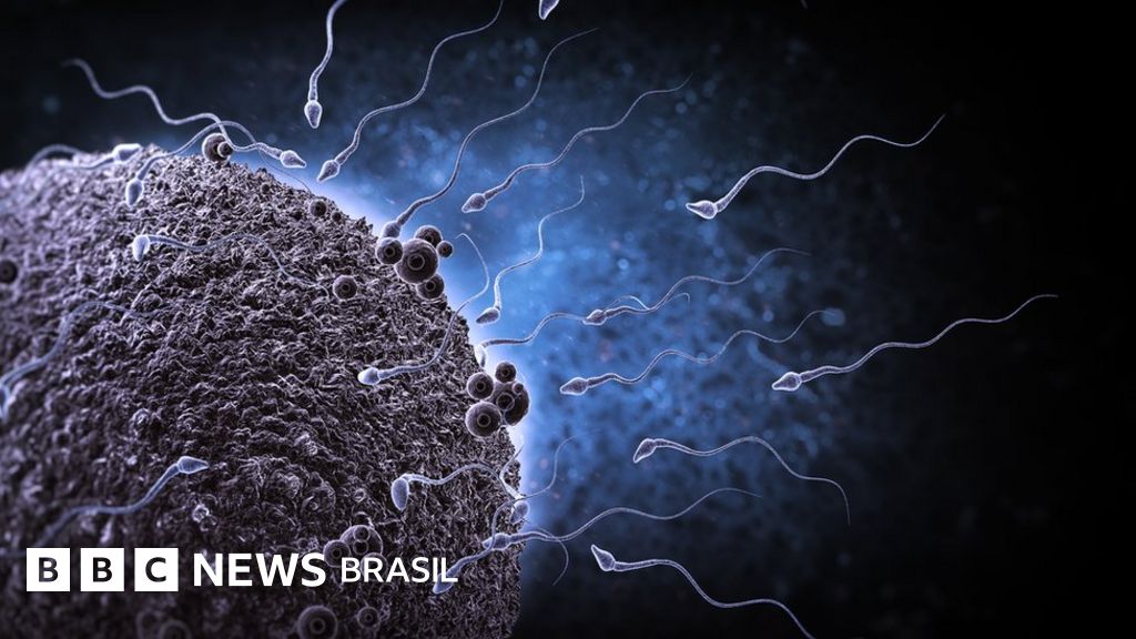 Como produtos químicos tóxicos ameaçam espermatozóides e reprodução