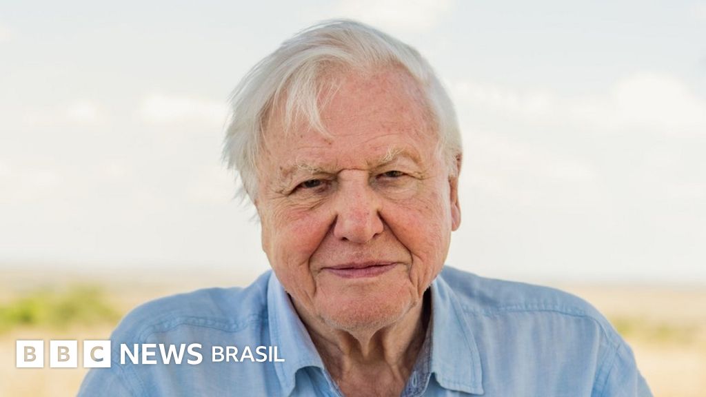 ‘Cada dia que passa é um dia perdido’: o alerta de David Attenborough sobre mudança climática