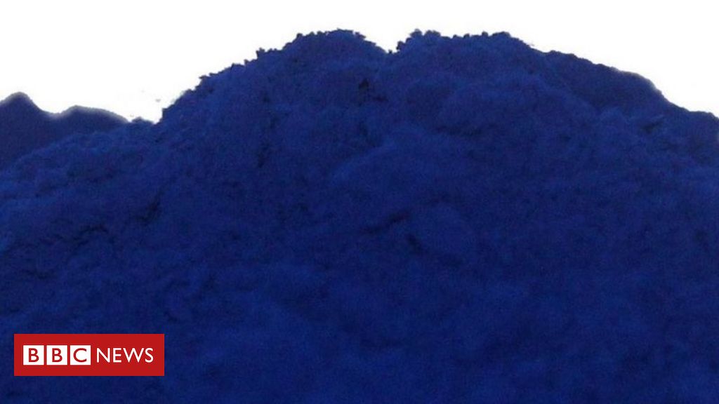 Papel de Parede Xadrez Azul - Buy in Puro Sangue