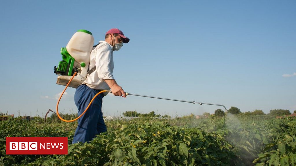 Sufocado por agrotóxicos perigosos, Brasil tem de