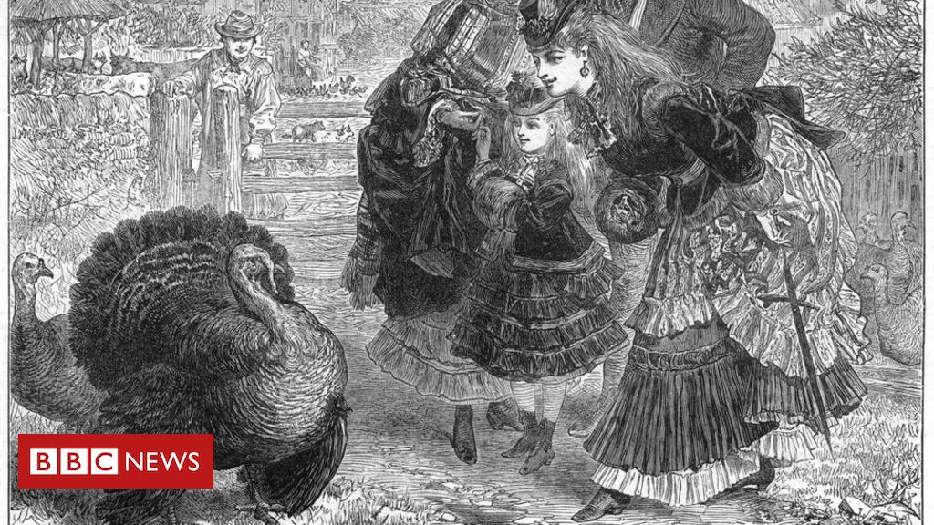 Como o peru, originário do México, se tornou o prato típico de Natal no  mundo todo - BBC News Brasil