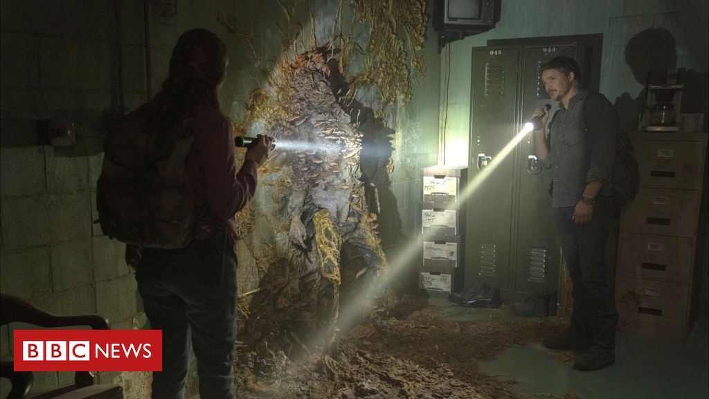 Fungo que inspirou 'The Last of Us' existe mesmo — e apareceu em  documentário da BBC - BBC News Brasil