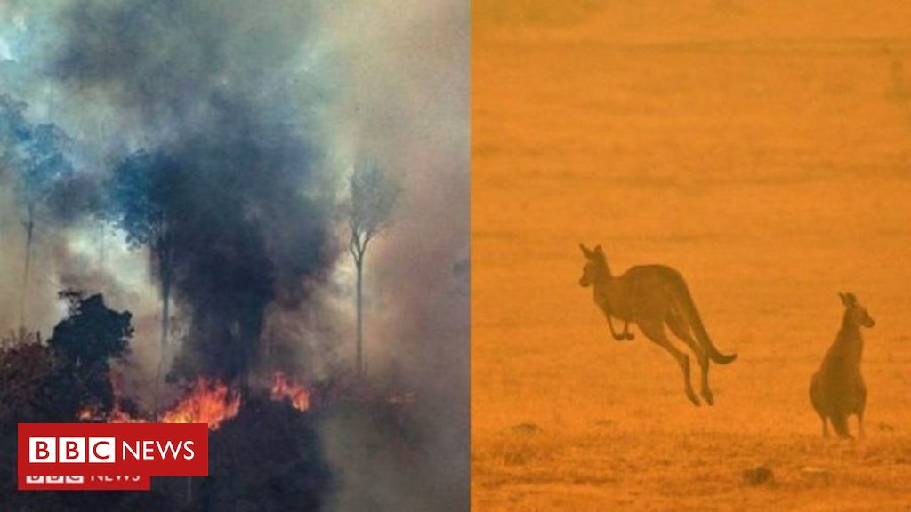 Por que não é correto comparar os incêndios na Amazônia aos que ocorrem na Austrália