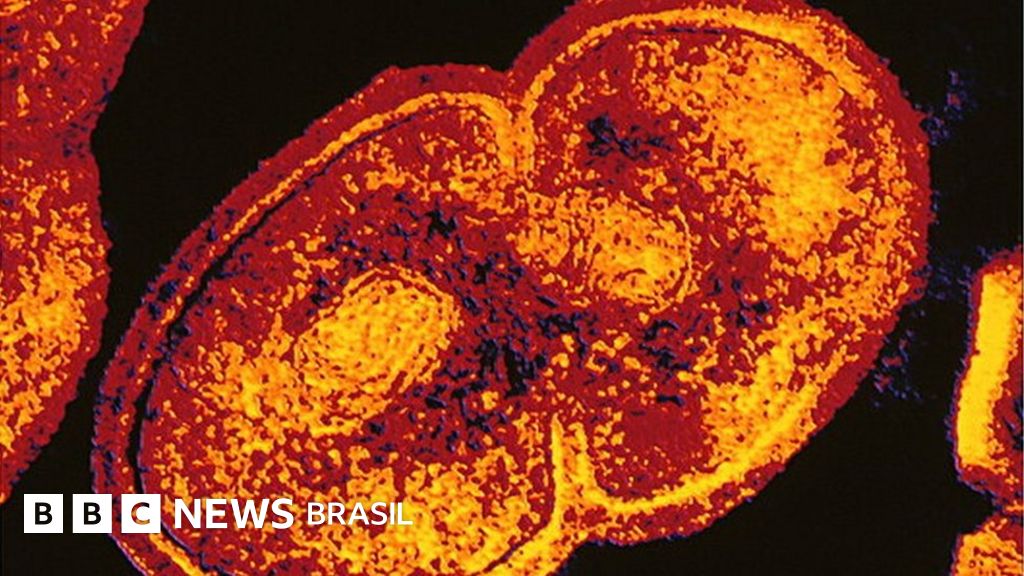 Conheça O Superantibiótico Capaz De Combater Bactérias Resistentes Conheça O Superantibiótico Capaz De Combater Bactérias Resistentes