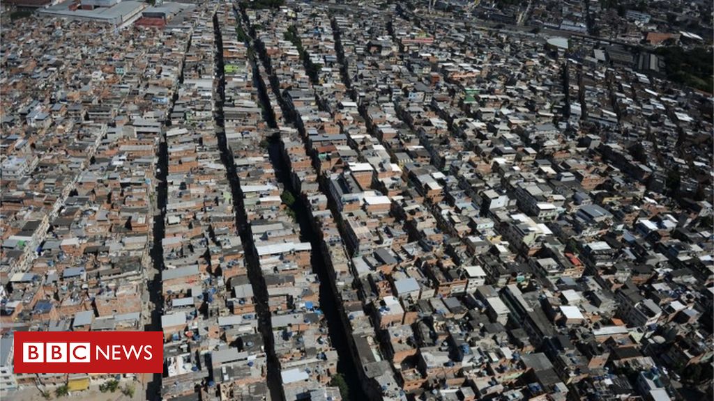 Sao Paulo Trannies