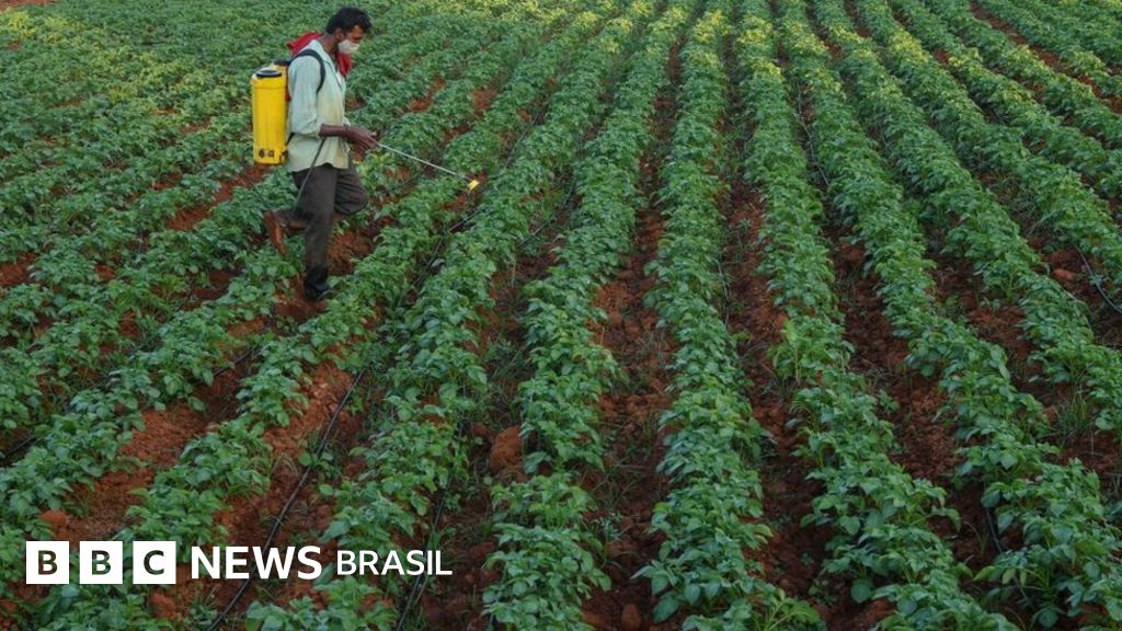 O que mudaria na prática com o ‘PL dos agrotóxicos’