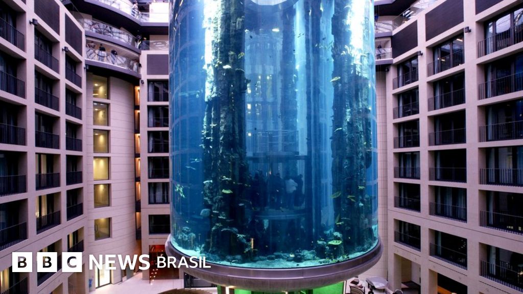 Ein riesiges Aquarium mit 1.500 Fischen ist in einer Hotellobby in Deutschland „explodiert“. Ein riesiges Aquarium mit 1.500 Fischen ist in einer Hotellobby in Deutschland „explodiert“.