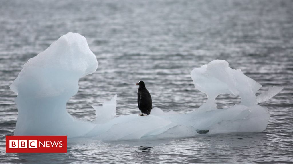 Derretimento acelera, e Antártida perde 2,7 trilhões de toneladas de