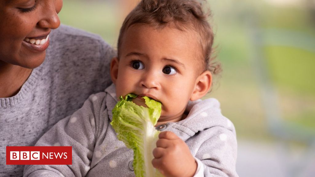 Filho de 2 anos de Junior fala sobre ser vegetariano e surpreende