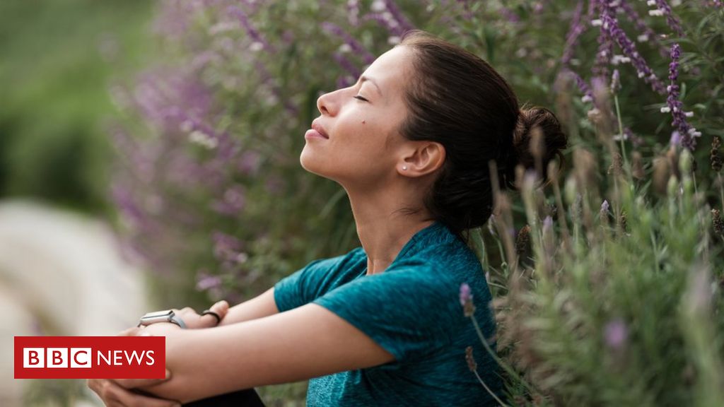 Nascemos em um lugar onde respiramos, respeitamos e temos contato