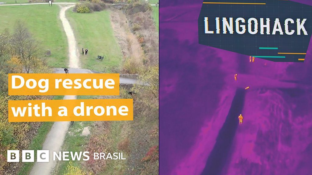 O drone que resgata cães perdidos