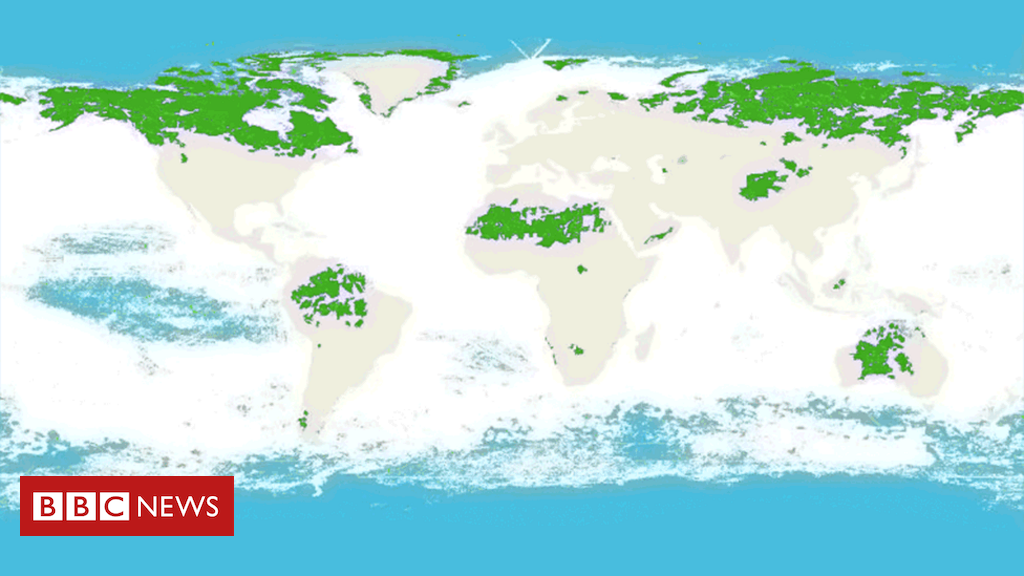 Mapa revela os nomes mais populares em todo o Mundo