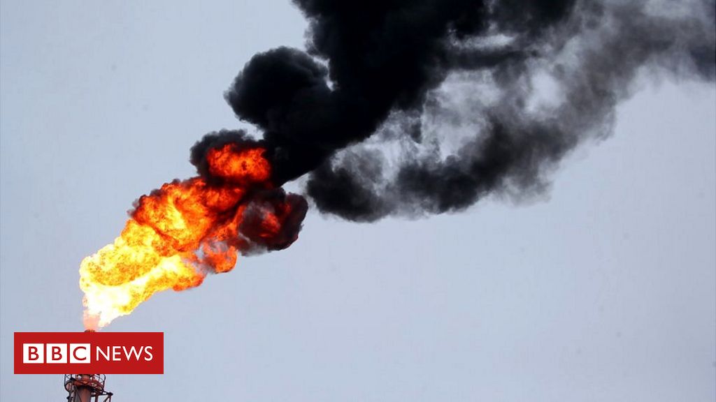 A verdadeira razão pela qual os seres humanos dominaram a Terra