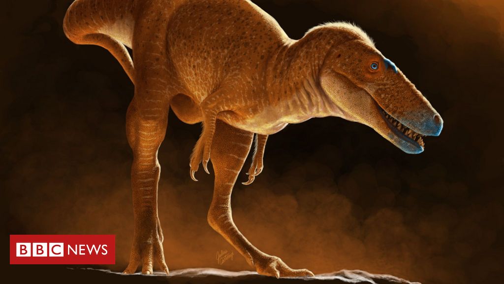 A nova espécie de dinossauro que 'reescreve' história da evolução do Tiranossauro Rex