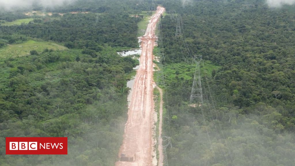 A estrada construída para a COP30 em Belém que vai desmatar a Amazônia