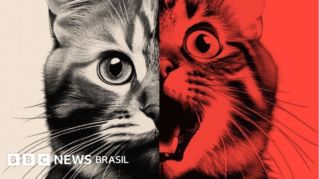 'AI Slop': o conteúdo 'tosco' gerado por inteligência artificial que tomou conta das redes sociais - e a reação contrária da internet