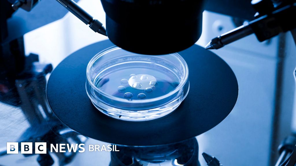 Quando uma célula se torna uma pessoa? O consenso científico sobre a polêmica dos embriões