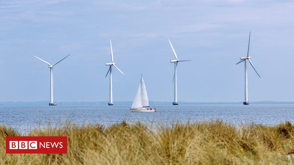 'Roubo de vento': o efeito misterioso que assola os parques de energia eólica