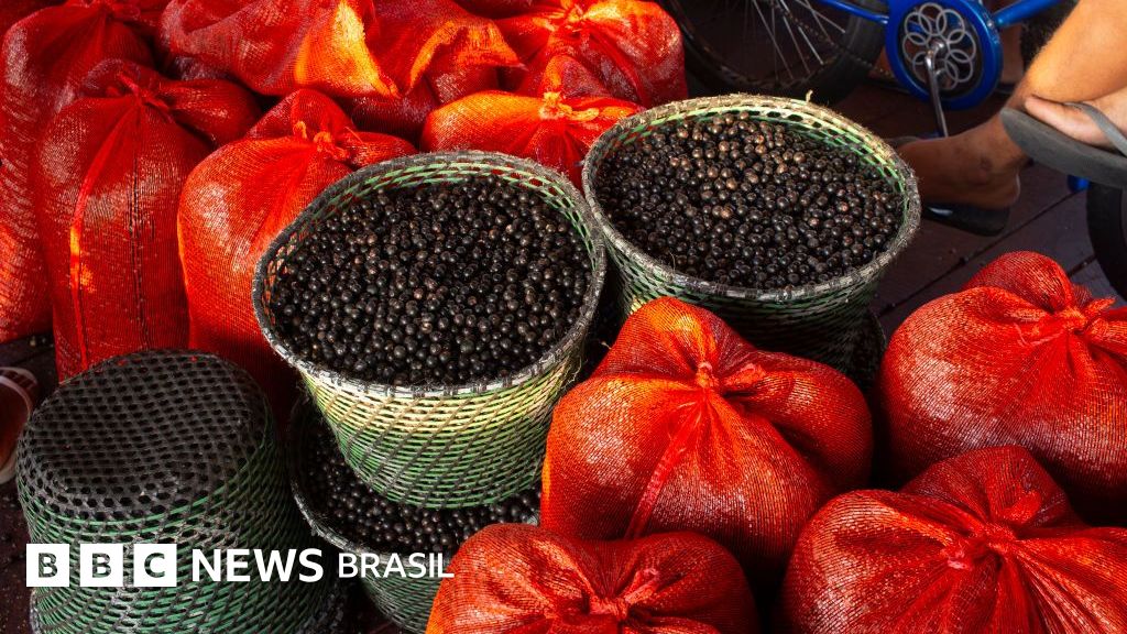 8 frutas raras que você só pode provar na Amazônia