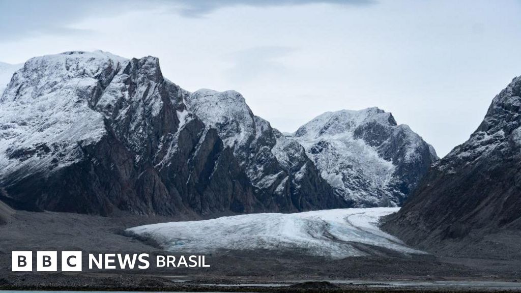 Dos micróbios aos mamíferos: como a vida ressurge em lugares da Terra onde as geleiras derretem