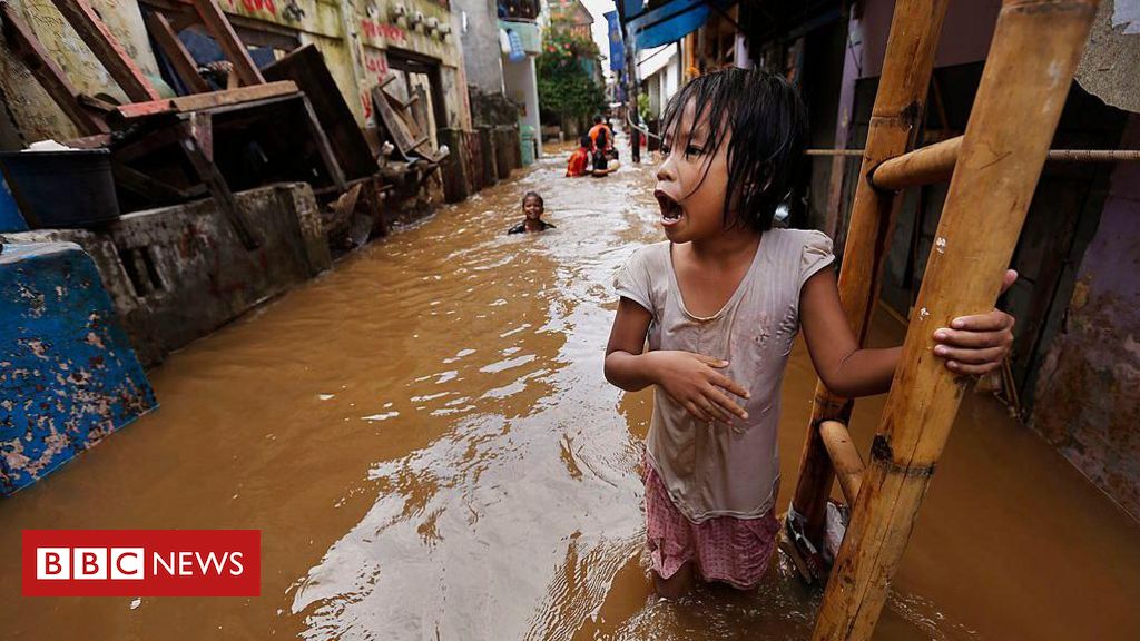 Meninas de 10 anos: Emergências Climáticas