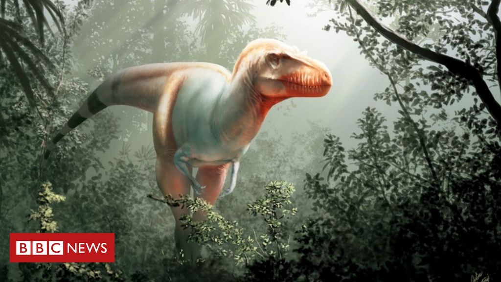 Nova espécie de antepassado do T-Rex é descoberta no Rio Grande do Sul -  Olhar Digital