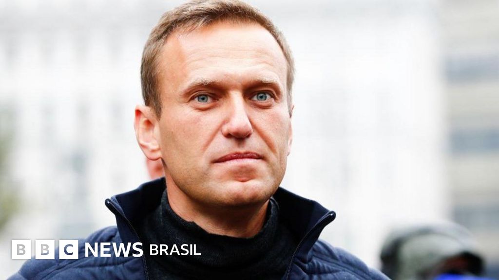 Rússia usou toxina de rã da América do Sul para matar opositor Alexei Navalny, afirma Reino Unido; relembre o caso