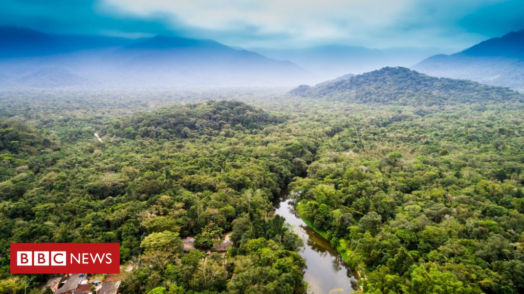 Pague Conta - Amazônia Seguradora