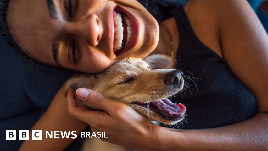 Por que amamos cachorros, segundo a ciência