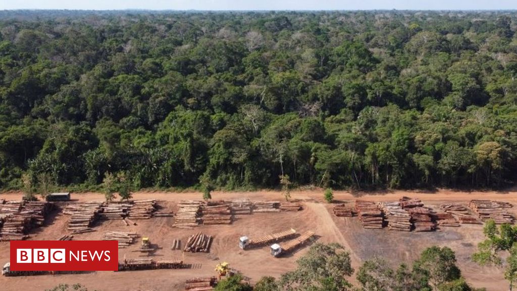 Brasil é 4º no mundo em ranking de emissão de gases poluentes desde 1850 -  BBC News Brasil